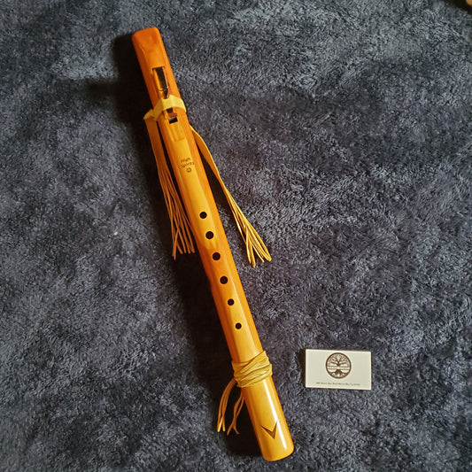 Native Flute - D